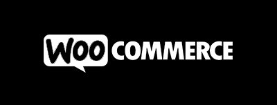 Crafting Success Online: Your Premier Digital Marketing & Web Development Partner - DigiOptimizer